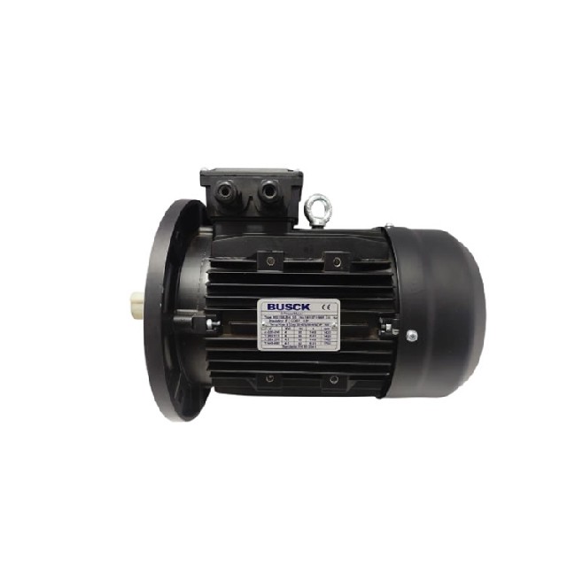 Busck MS 100LB-4 B5 三相異步電動機